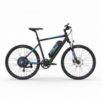 E-Bike Side