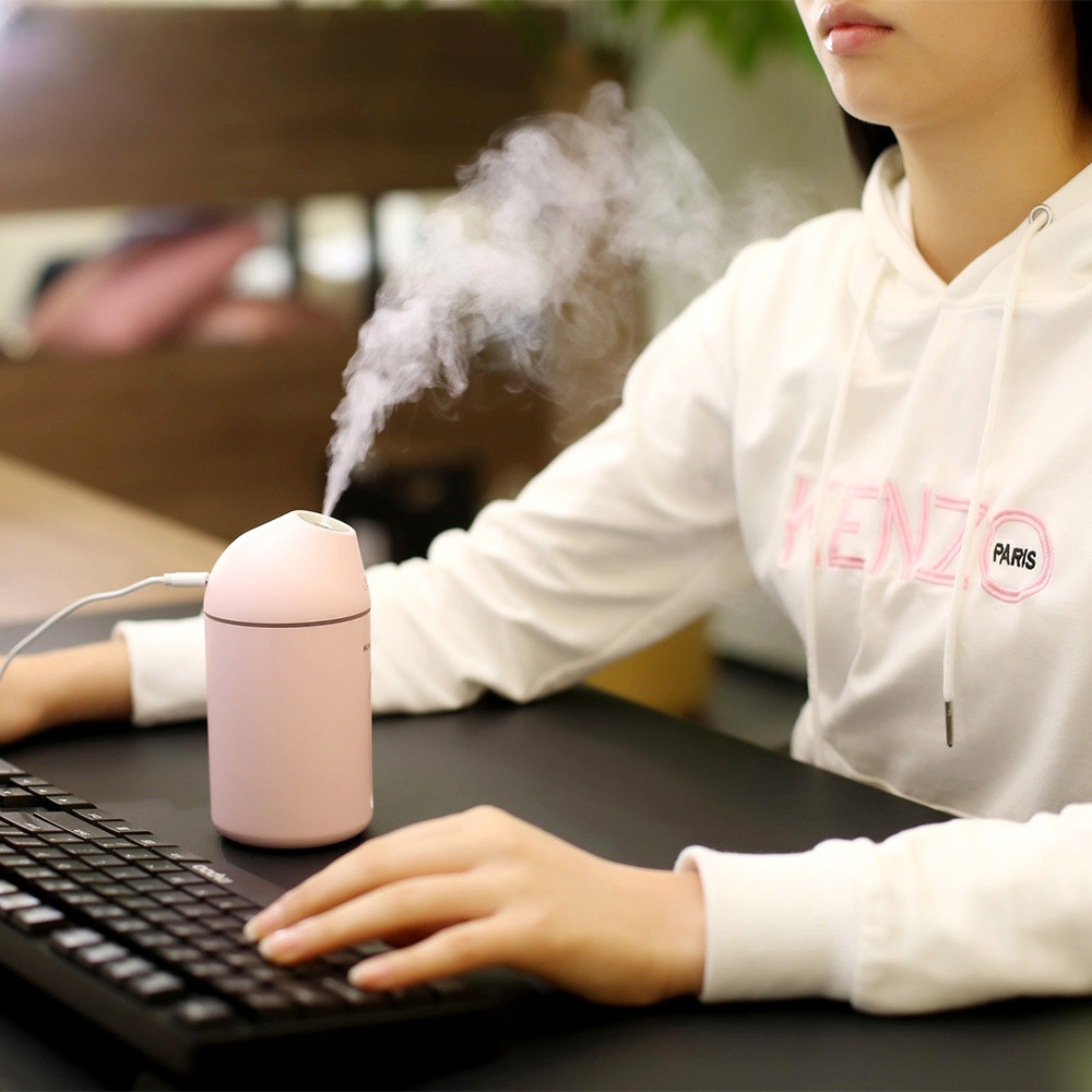 Portable Aromatherapy 300ml USB Diffuser