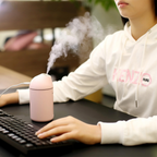 Portable Aromatherapy 300ml USB Diffuser